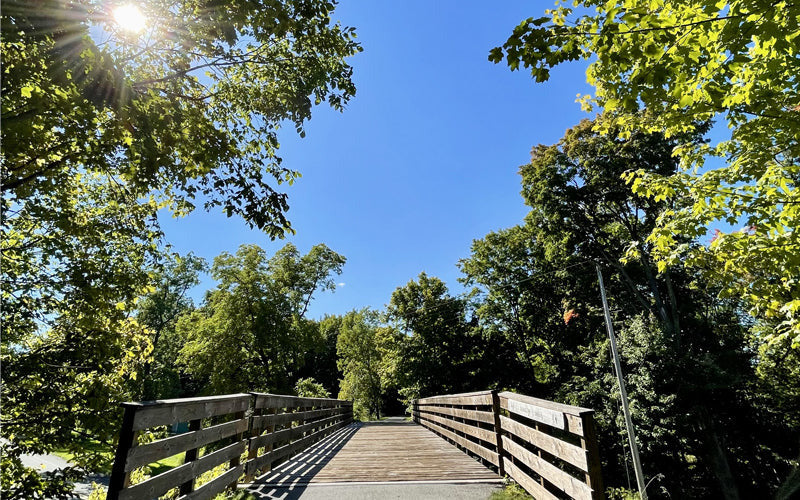 Hiking the Leelanau Trail - Explore Michigan's Beauty - Woods, bridge, sky and sun - Enjoy Michigan Blog
