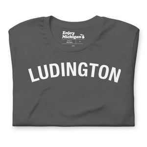 Ludington Unisex T-shirt  Enjoy Michigan Asphalt S 