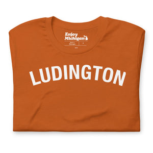 Ludington Unisex T-shirt  Enjoy Michigan Autumn S 