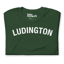 Load image into Gallery viewer, Ludington Unisex T-shirt  Enjoy Michigan Forest S 