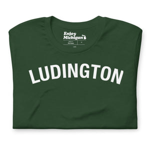 Ludington Unisex T-shirt  Enjoy Michigan Forest S 