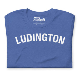 Ludington Unisex T-shirt  Enjoy Michigan Heather True Royal S 