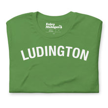Load image into Gallery viewer, Ludington Unisex T-shirt  Enjoy Michigan Leaf S 