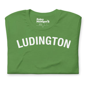 Ludington Unisex T-shirt  Enjoy Michigan Leaf S 