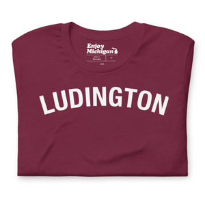 Ludington Unisex T-shirt  Enjoy Michigan Maroon S 