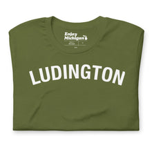 Load image into Gallery viewer, Ludington Unisex T-shirt  Enjoy Michigan Olive S 