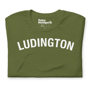 Ludington Unisex T-shirt  Enjoy Michigan Olive S 