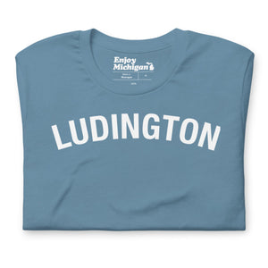 Ludington Unisex T-shirt  Enjoy Michigan Steel Blue S 