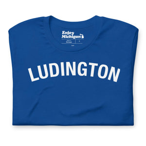 Ludington Unisex T-shirt  Enjoy Michigan True Royal S 